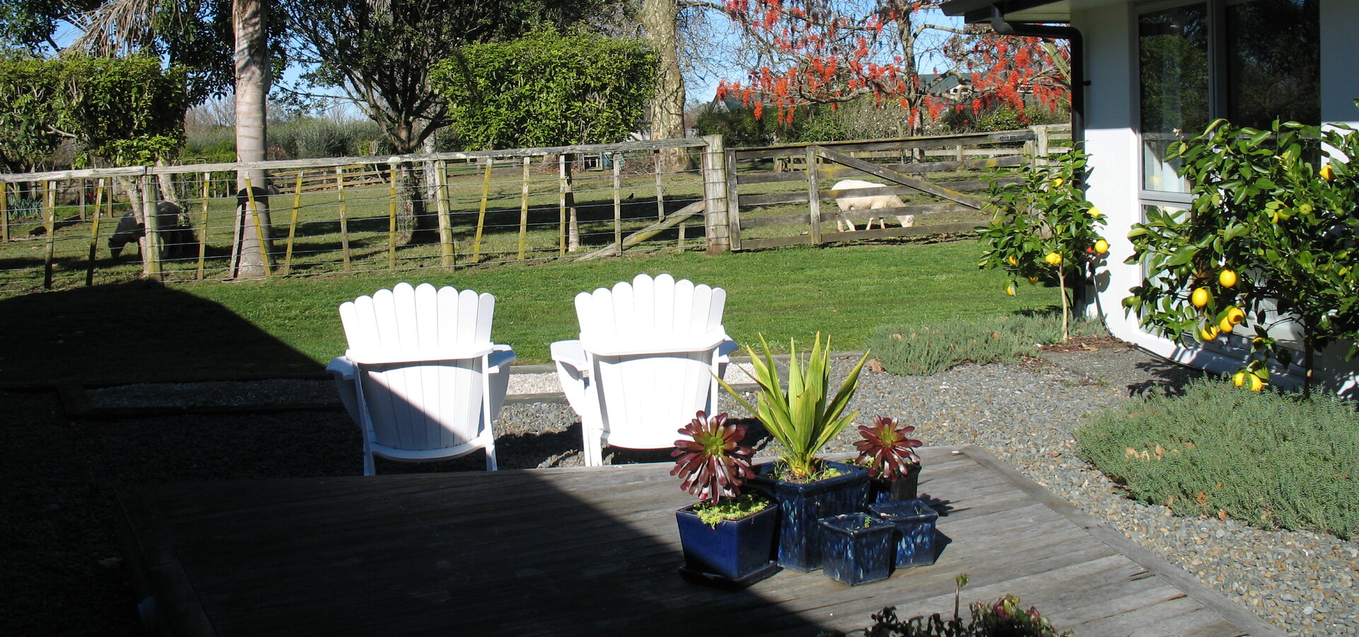 Accommodation Cambridge NZ / Lake Karapiro BnB | Karapiro Willows B&B